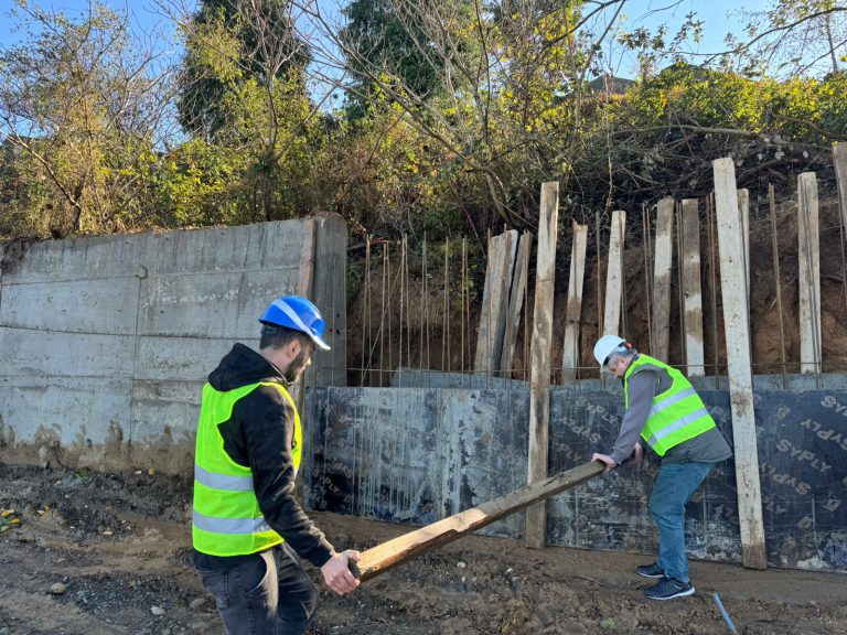 ,,ანაკრები და მონოლითური კონსტრუქციების მონტაჟი“- შუალედური შეფასება